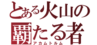 とある火山の覇たる者（アカムトルム）
