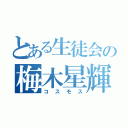 とある生徒会の梅木星輝（コスモス）