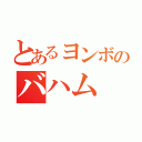 とあるヨンボのバハム（）