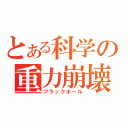 とある科学の重力崩壊（ブラックホール）