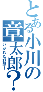 とある小川の章太郎？（いかれた野郎！）