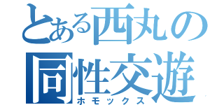 とある西丸の同性交遊（ホモックス）