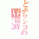 とあるワンコの昼寝時（お昼寝）