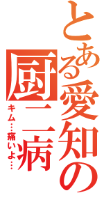 とある愛知の厨二病（キム…痛いよ…）