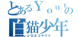 とあるＹｏｕｔｙｕｂｅの白猫少年（シロネコヤマト）