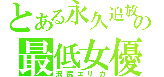 とある永久追放の最低女優（沢尻エリカ）