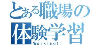 とある職場の体験学習（Ｗｏｒｋｉｎｇ！！）