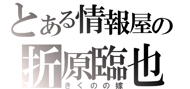 とある情報屋の折原臨也（きくのの嫁）