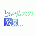 とある弘大の公園（人怪我させ機）