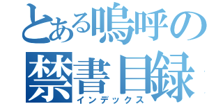 とある嗚呼の禁書目録（インデックス）