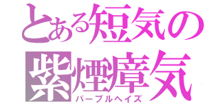 とある短気の紫煙瘴気（パープルヘイズ）