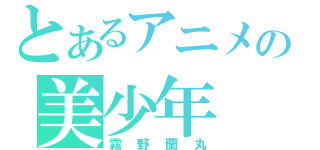 とあるアニメの美少年（霧野蘭丸）