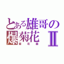 とある雄哥の爆菊花Ⅱ（菊花圖）