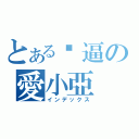 とある傻逼の愛小亞（インデックス）