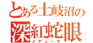 とある土岐沼の深紅蛇眼（メデューサ）