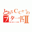 とあるＣＣヤリマンのブタ一匹Ⅱ（李海珍 森川亮 ネイバー金子智美）