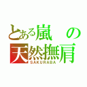 とある嵐の天然撫肩（ＳＡＫＵＲＡＢＡ）