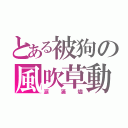 とある被狗の風吹草動（涙滿燼）