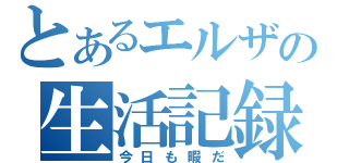 とあるエルザの生活記録（今日も暇だ）