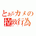 とあるカメの拉致行為（ピーチ）