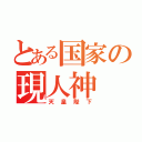 とある国家の現人神（天皇陛下）