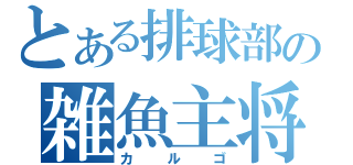 とある排球部の雑魚主将（カルゴ）