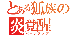 とある狐族の炎覚醒（バーンアップ）