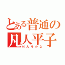 とある普通の凡人平子（村人その２）