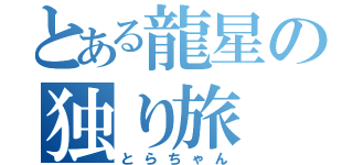 とある龍星の独り旅（とらちゃん）