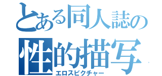 とある同人誌の性的描写（エロスピクチャー）