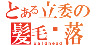 とある立委の髪毛脫落（Ｂａｌｄｈｅａｄ）