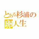 とある杉浦の卵人生（）