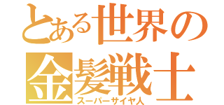 とある世界の金髪戦士（スーパーサイヤ人）