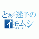 とある迷子のイモムシ（キャタピー＾ｐ＾）