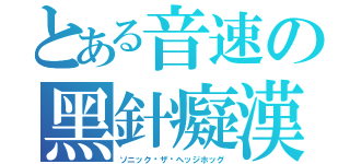 とある音速の黑針癡漢（ソニック‧ザ‧ヘッジホッグ）