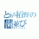 とある栢野の歯並び（カヤノトルム）