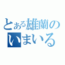 とある雄蘭のいまいる（）