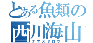 とある魚類の西川海山（ナマズヤロウ）