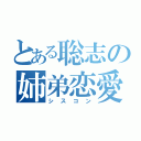 とある聡志の姉弟恋愛（シスコン）