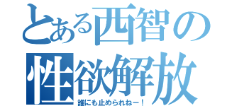 とある西智の性欲解放（誰にも止められねー！）