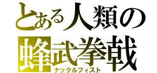 とある人類の蜂武拳戟（ナックルフィスト）