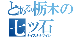 とある栃木の七ツ石（ナイスナナツイシ）