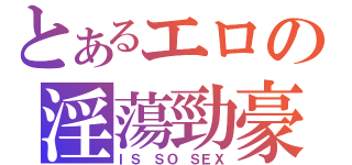 とあるエロの淫蕩勁豪（ＩＳ ＳＯ ＳＥＸ）