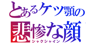 とあるケツ顎の悲惨な顔（シャクシャイン）