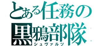 とある任務の黒鴉部隊（シュヴァルツ）