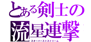 とある剣士の流星連撃（スターバーストストリーム）