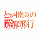 とある睦美の遊覧飛行（カエレナイ）