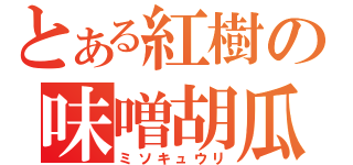 とある紅樹の味噌胡瓜（ミソキュウリ）