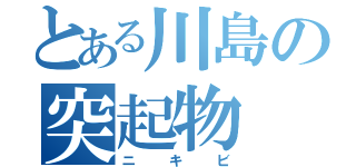 とある川島の突起物（ニキビ）