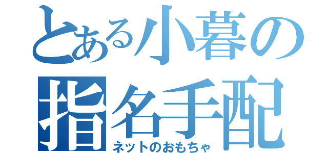 とある小暮の指名手配（ネットのおもちゃ）